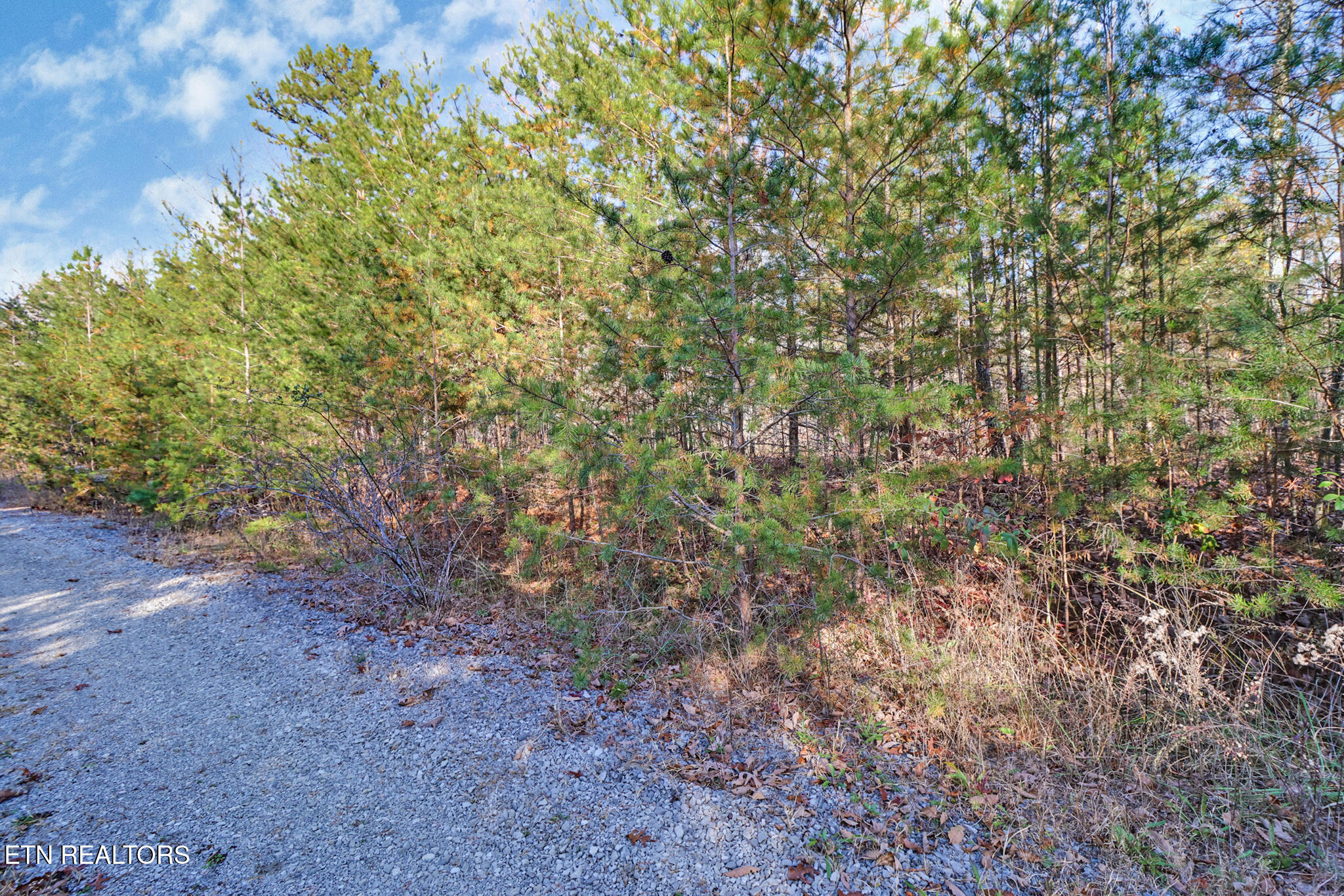 0 Maple Lane Pikeville, TN 37367 - Photo 14 of 17 if1a5799-if1a5803