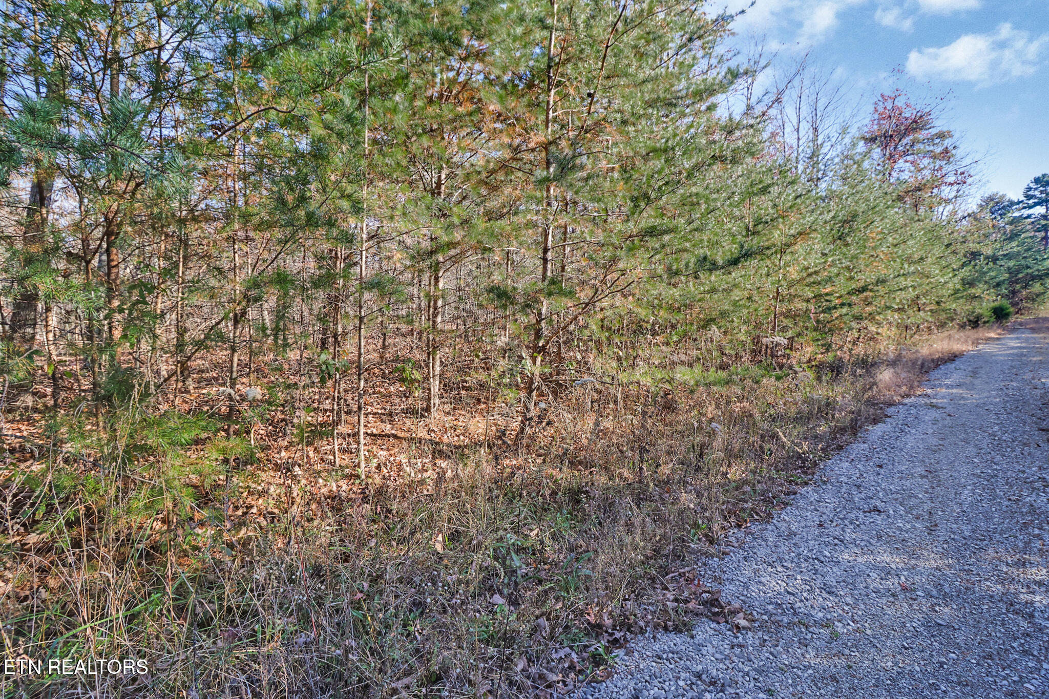 0 Maple Lane Pikeville, TN 37367 - Photo 15 of 17 if1a5804-if1a5808