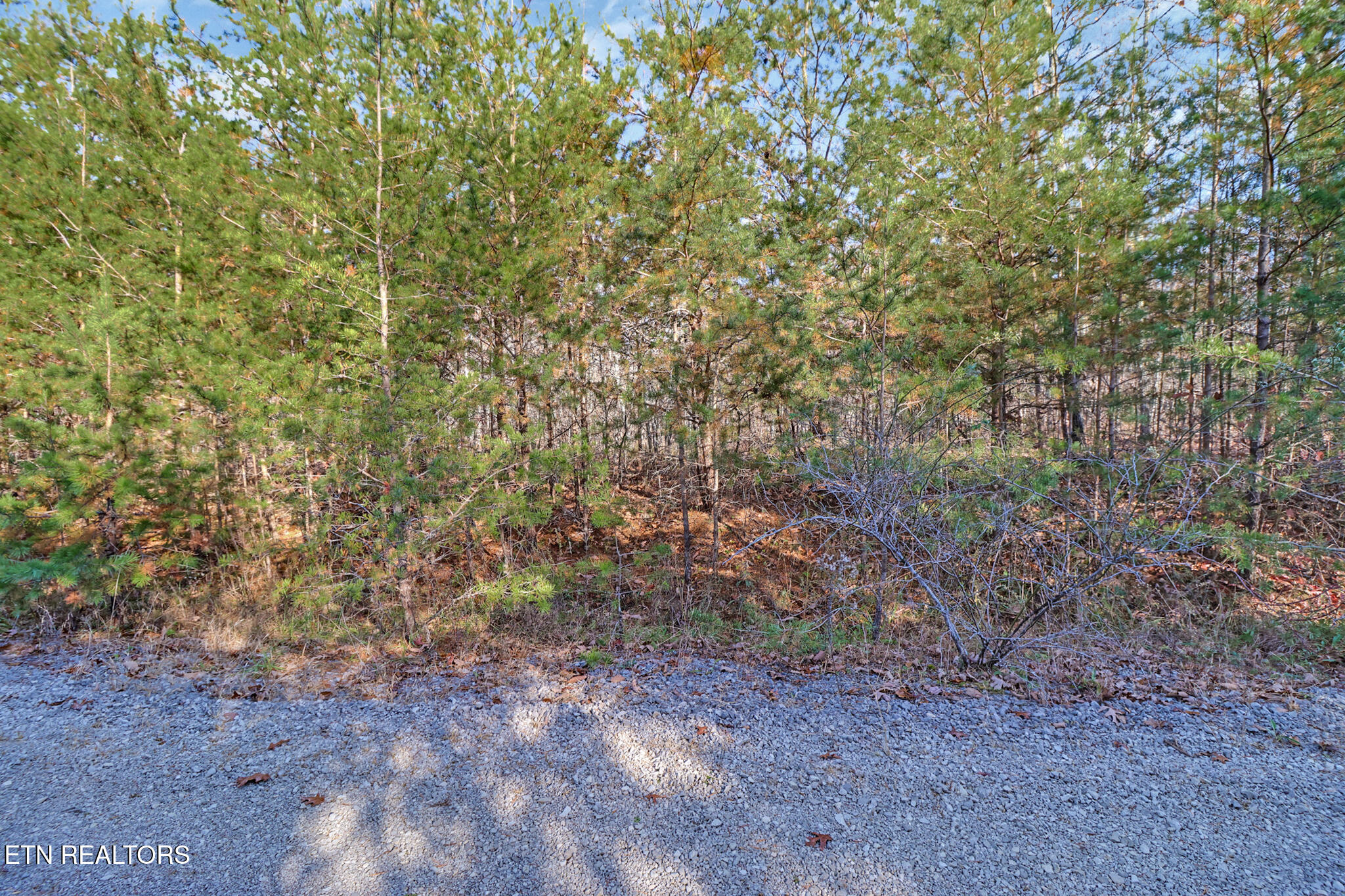0 Maple Lane Pikeville, TN 37367 - Photo 17 of 17 if1a5814-if1a5818