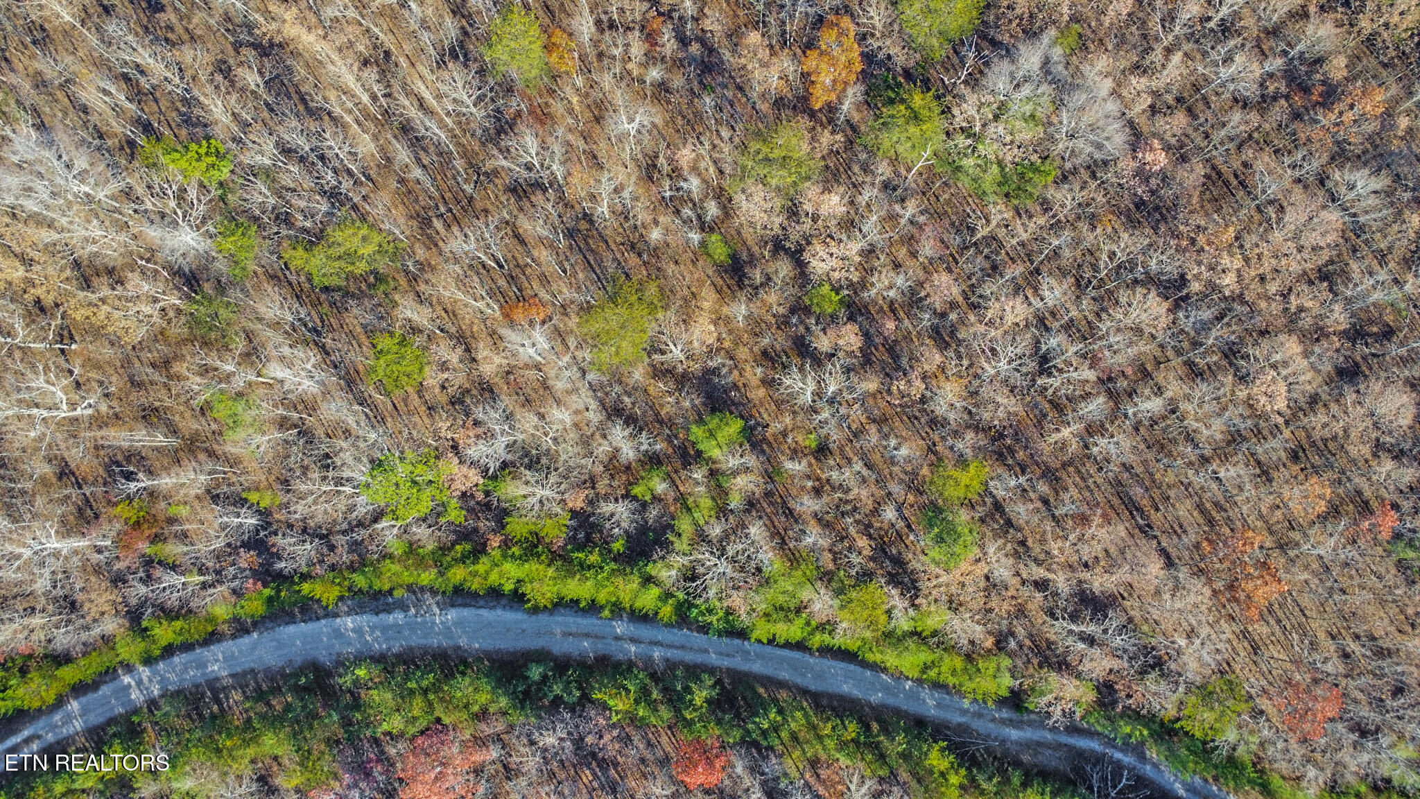 0 Maple Lane Pikeville, TN 37367 - Photo 6 of 17 dji_0420-dji_0422