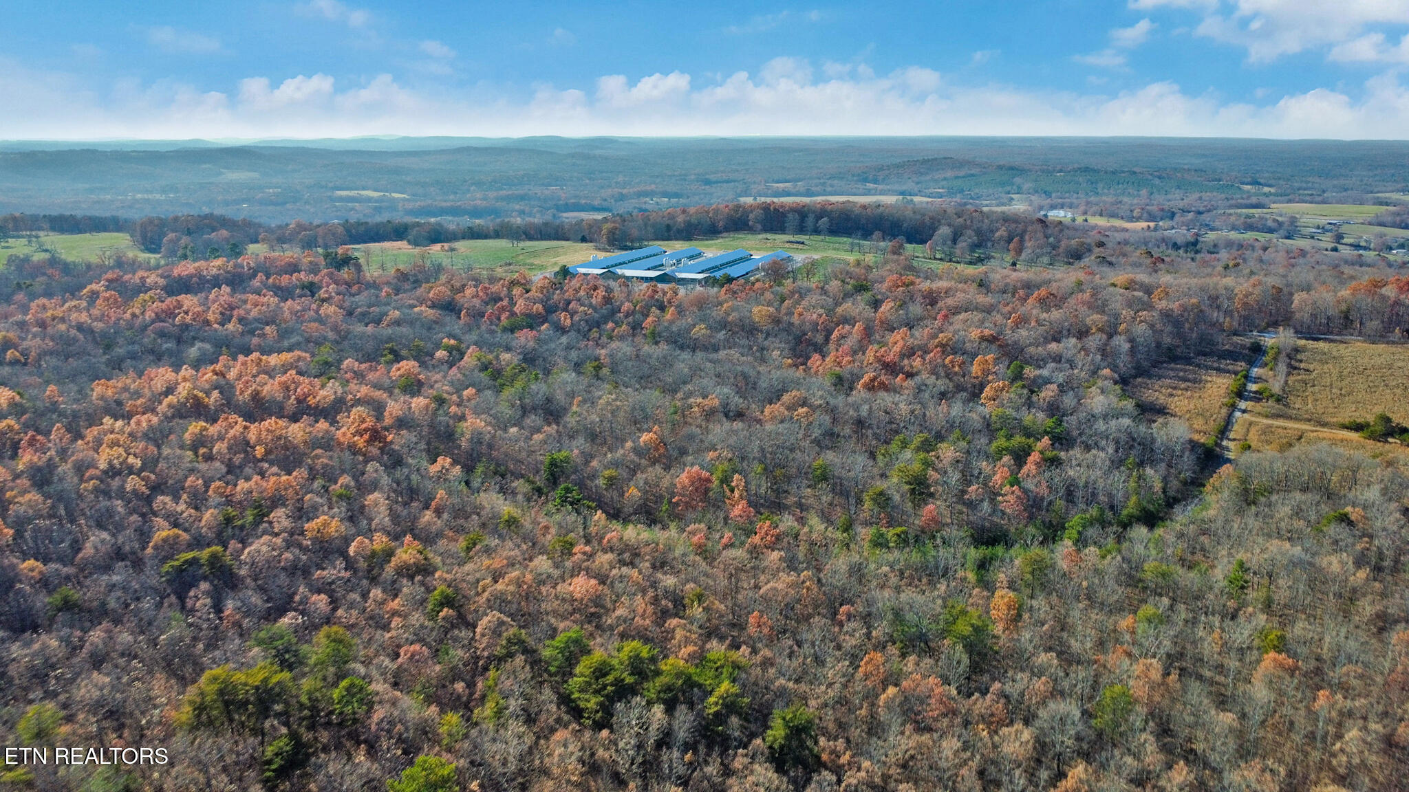 0 Maple Lane Pikeville, TN 37367 - Photo 8 of 17 dji_0428-dji_0430