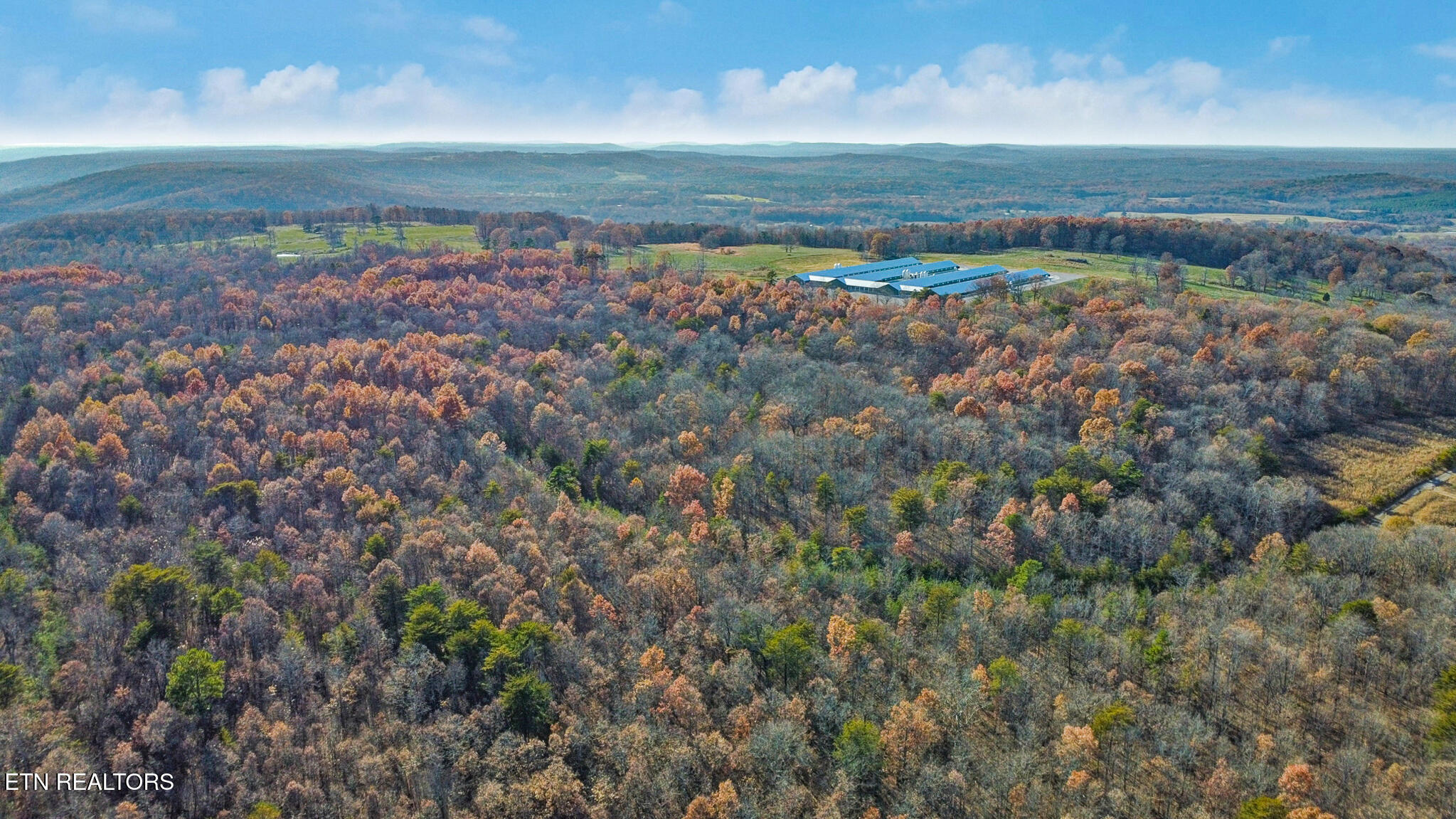 0 Maple Lane Pikeville, TN 37367 - Photo 9 of 17 dji_0432-dji_0434