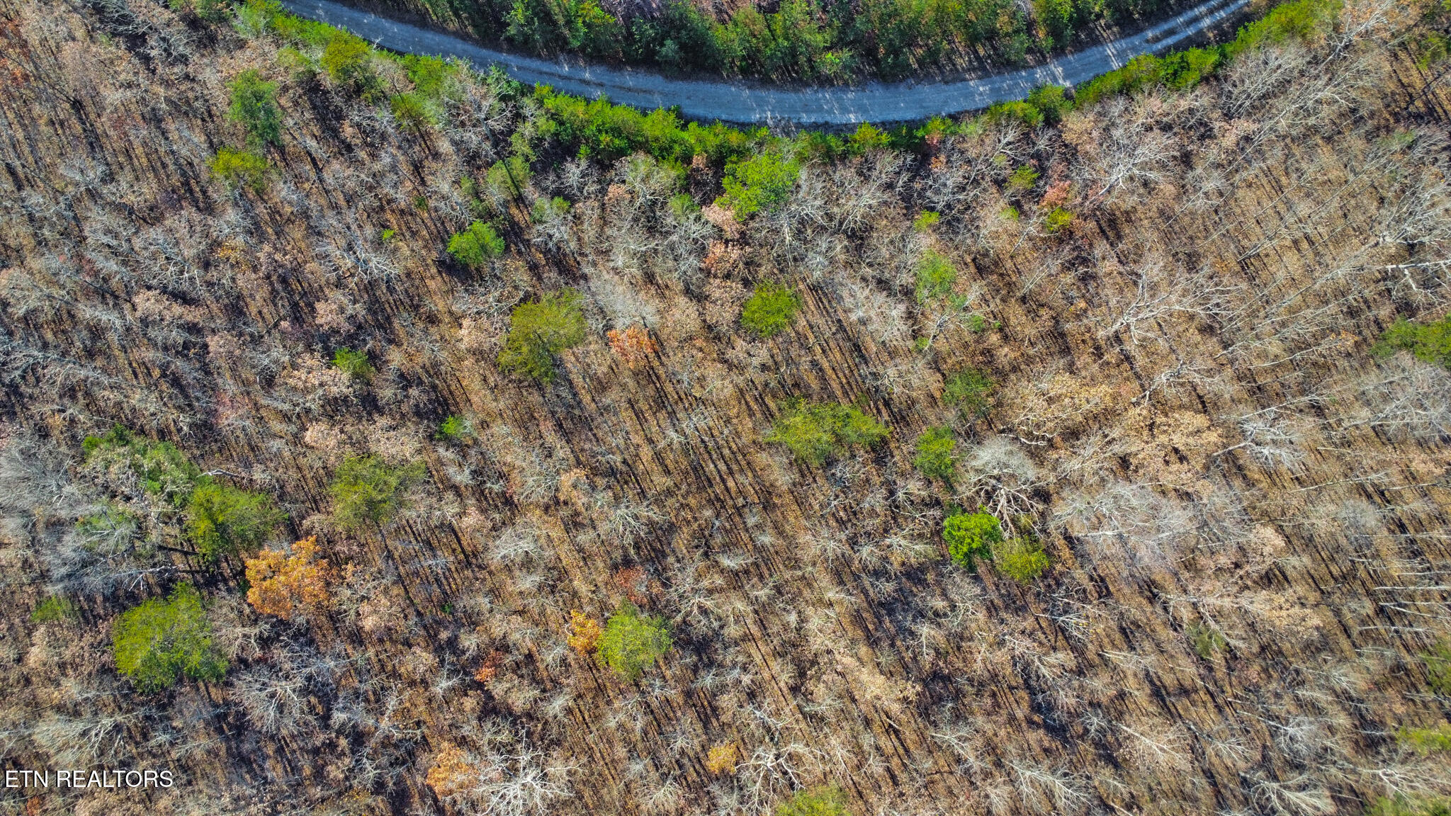 0 Maple Lane Pikeville, TN 37367 - Photo 10 of 17 dji_0435-dji_0437