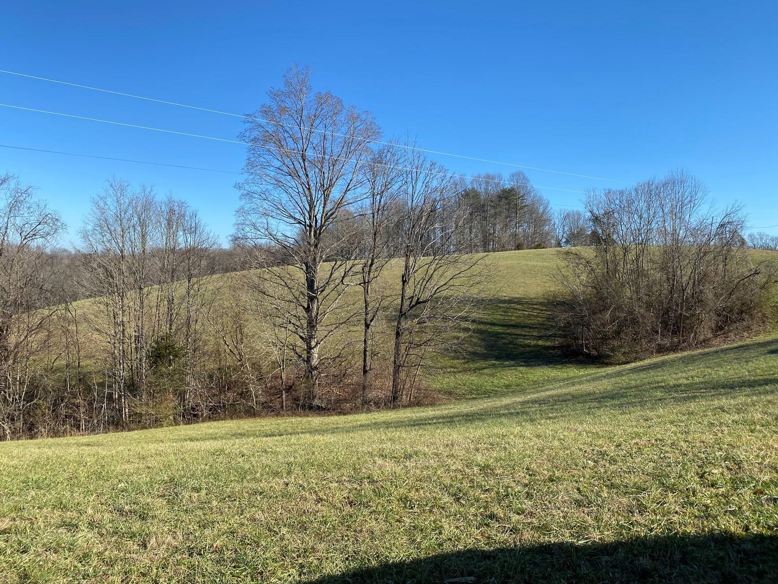 2812 Lettered Oak Road Albany, KY 42602 - Photo 1 of 19 1397.17