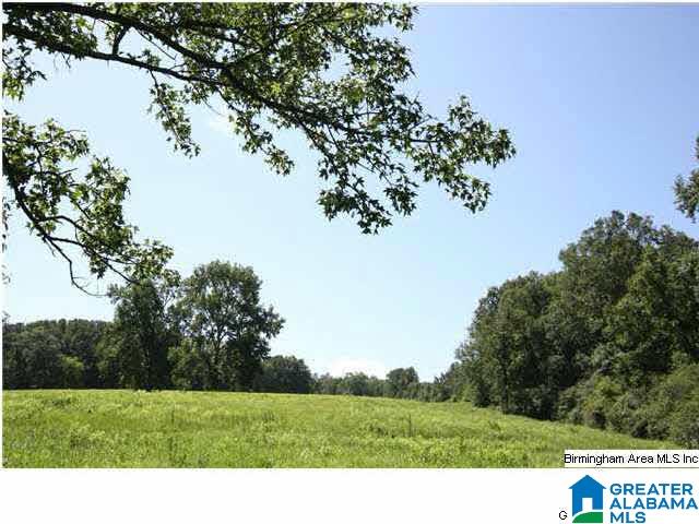 Reneau Road, Unit 27 Oneonta, AL 35121 - Photo 2 of 3