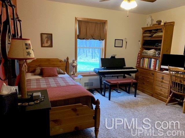 111 Panick Road Iron River, MI 49935 - Photo 21 of 49