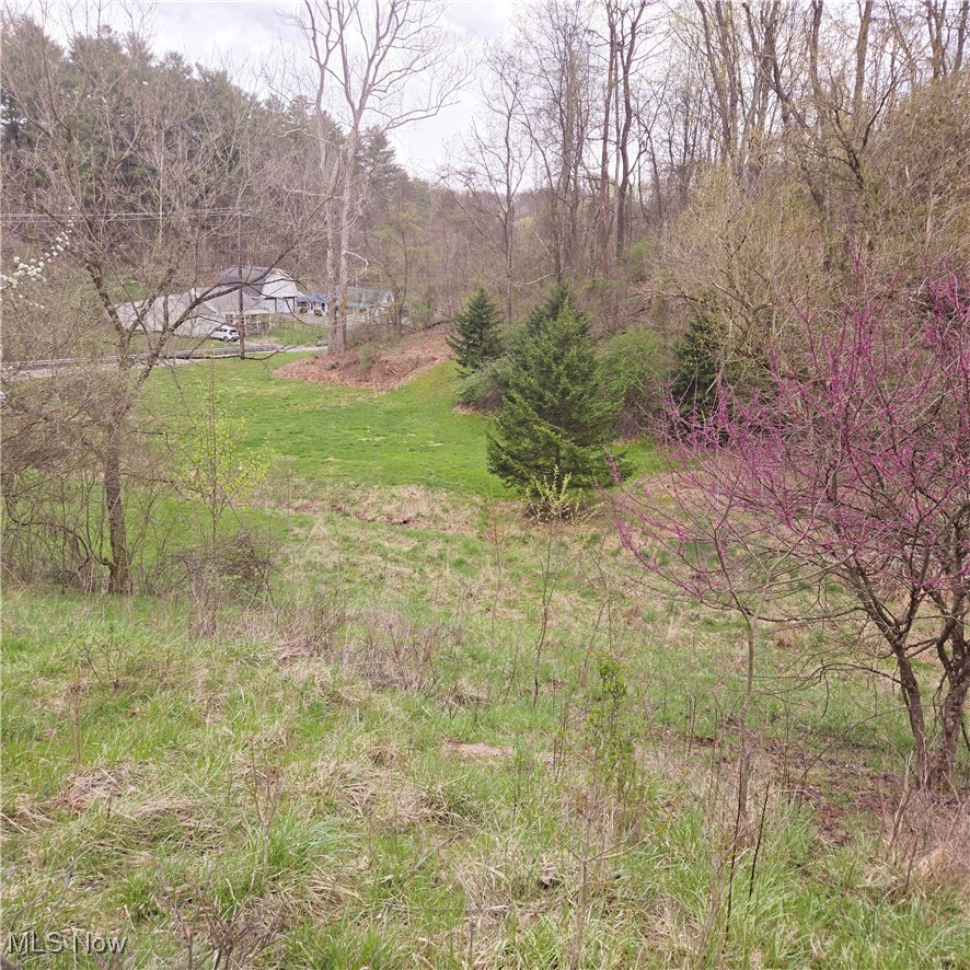 185 Lake Washington Road Parkersburg, WV 26101 - Photo 10 of 16