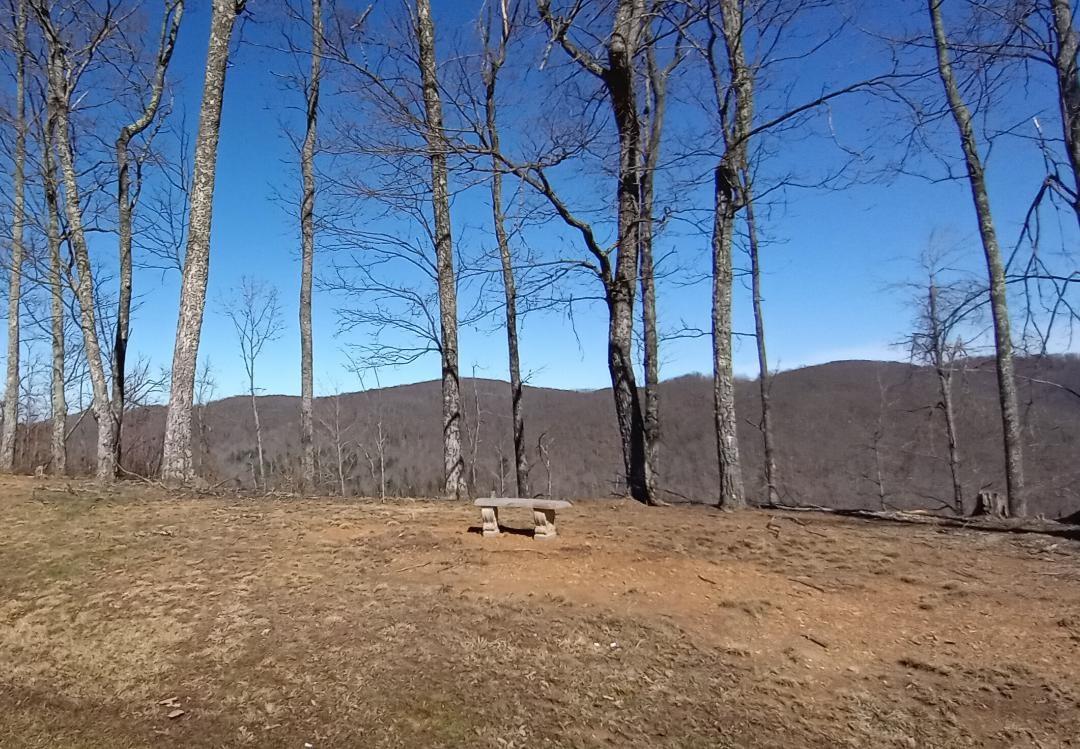 541 Shug Mtn Road Oneida, TN 37841 - Photo 35 of 35 3