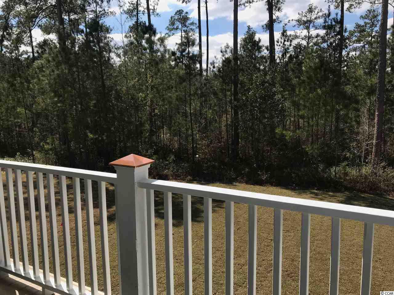 269 Splendor Circle Murrells Inlet, SC 29576 - Photo 13 of 20