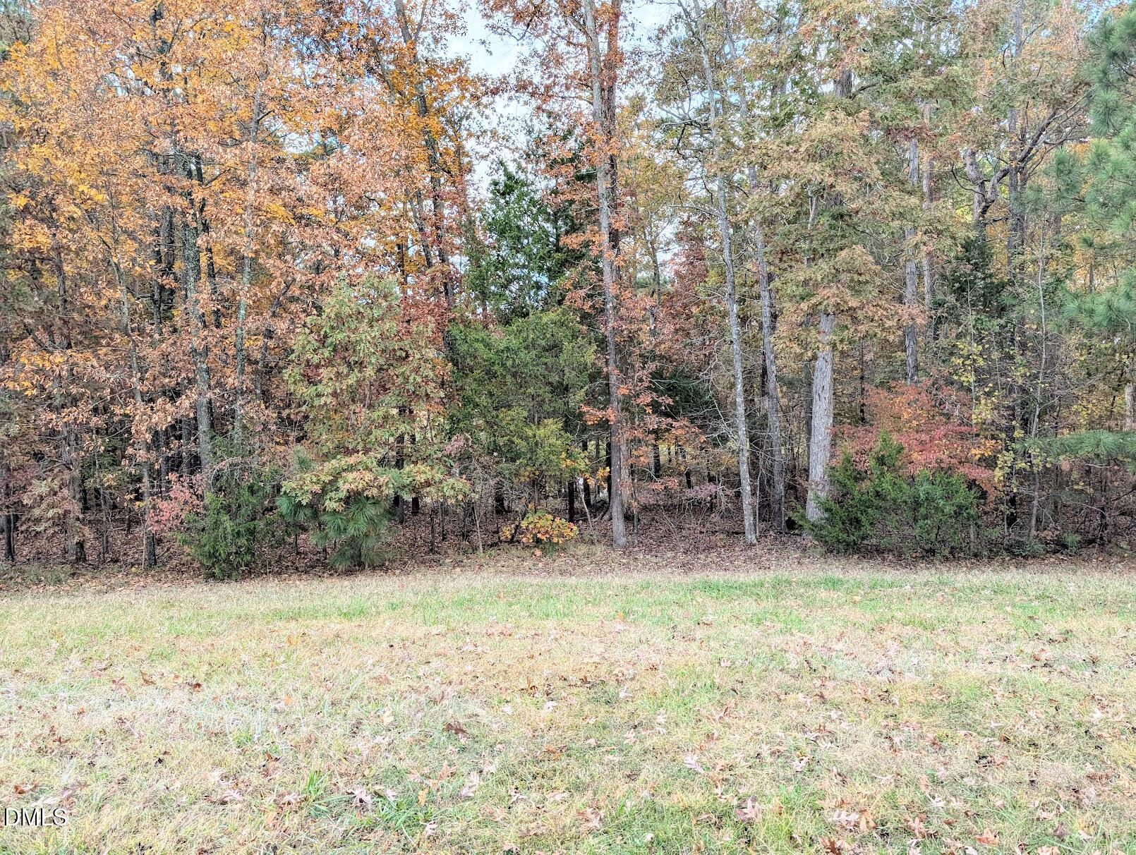 314 Ashburn Lane Durham, NC 27703 - Photo 15 of 40 a view of a yard with a tree