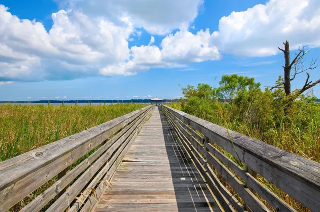 $54,000 | Lot 178 Commanders Island Road, Georgetown, SC 29440