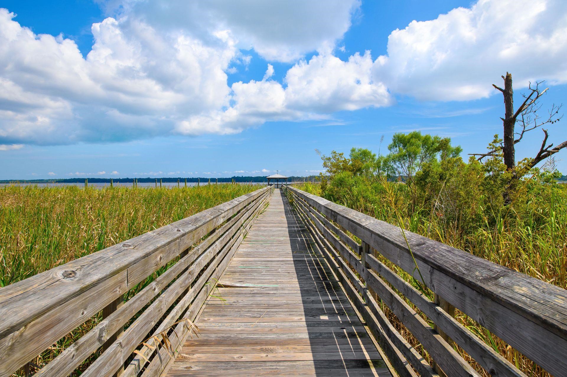 Lot 178 Commanders Island Road Georgetown, SC 29440 - Photo 14 of 16