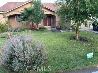 a view of a house with a yard and a large tree