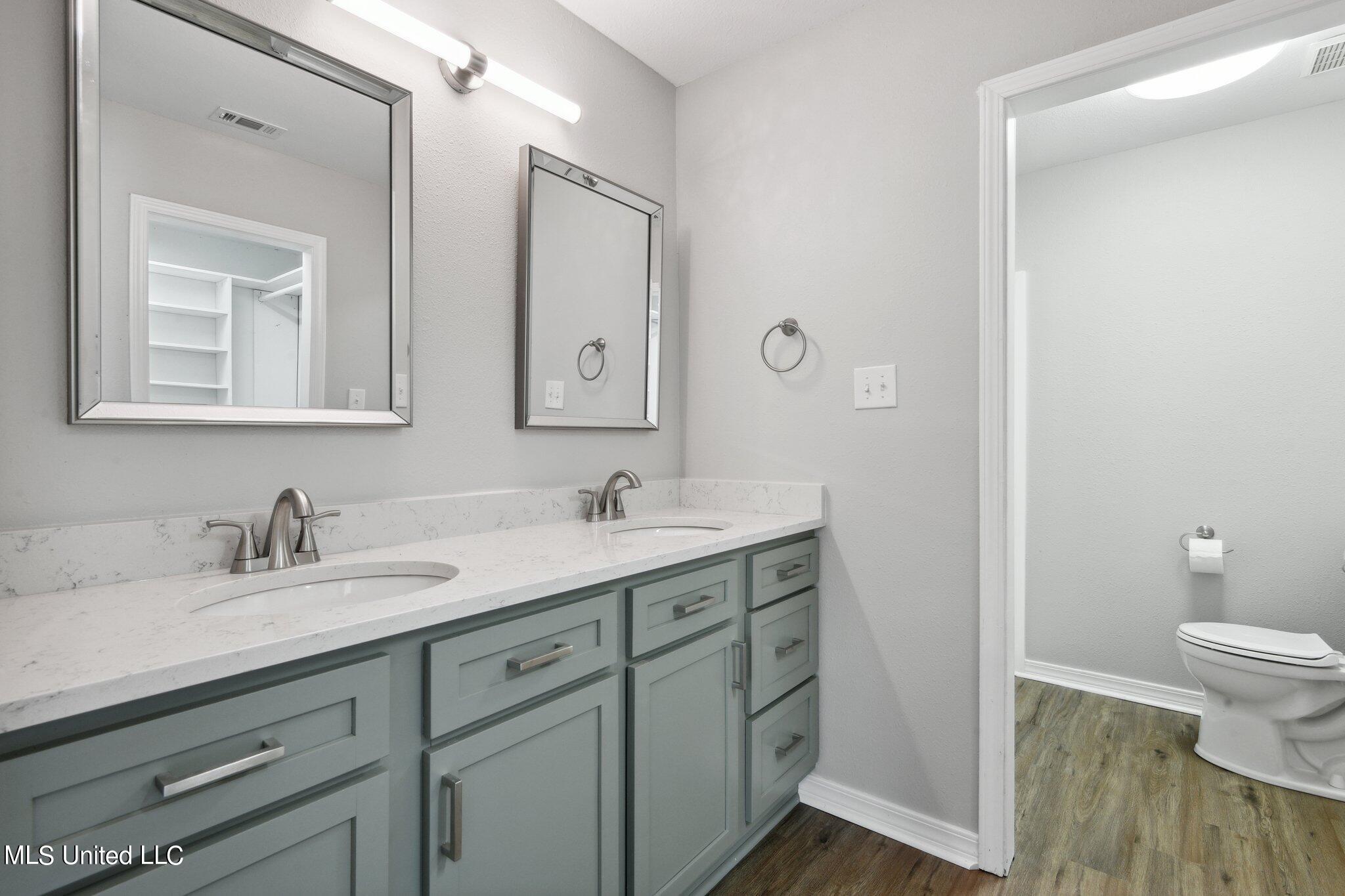 16436 McGregor Road Vancleave, MS 39565 - Photo 5 of 21 Master Vanity
