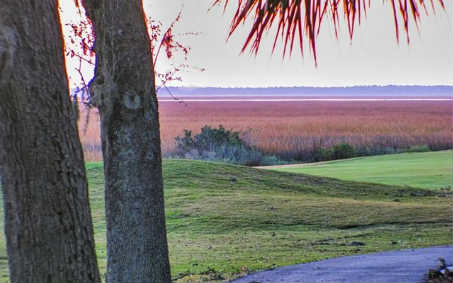 10 Belted Kingfisher Road Fernandina Beach, FL 32034 - Photo 14 of 22 Gallery Image 14