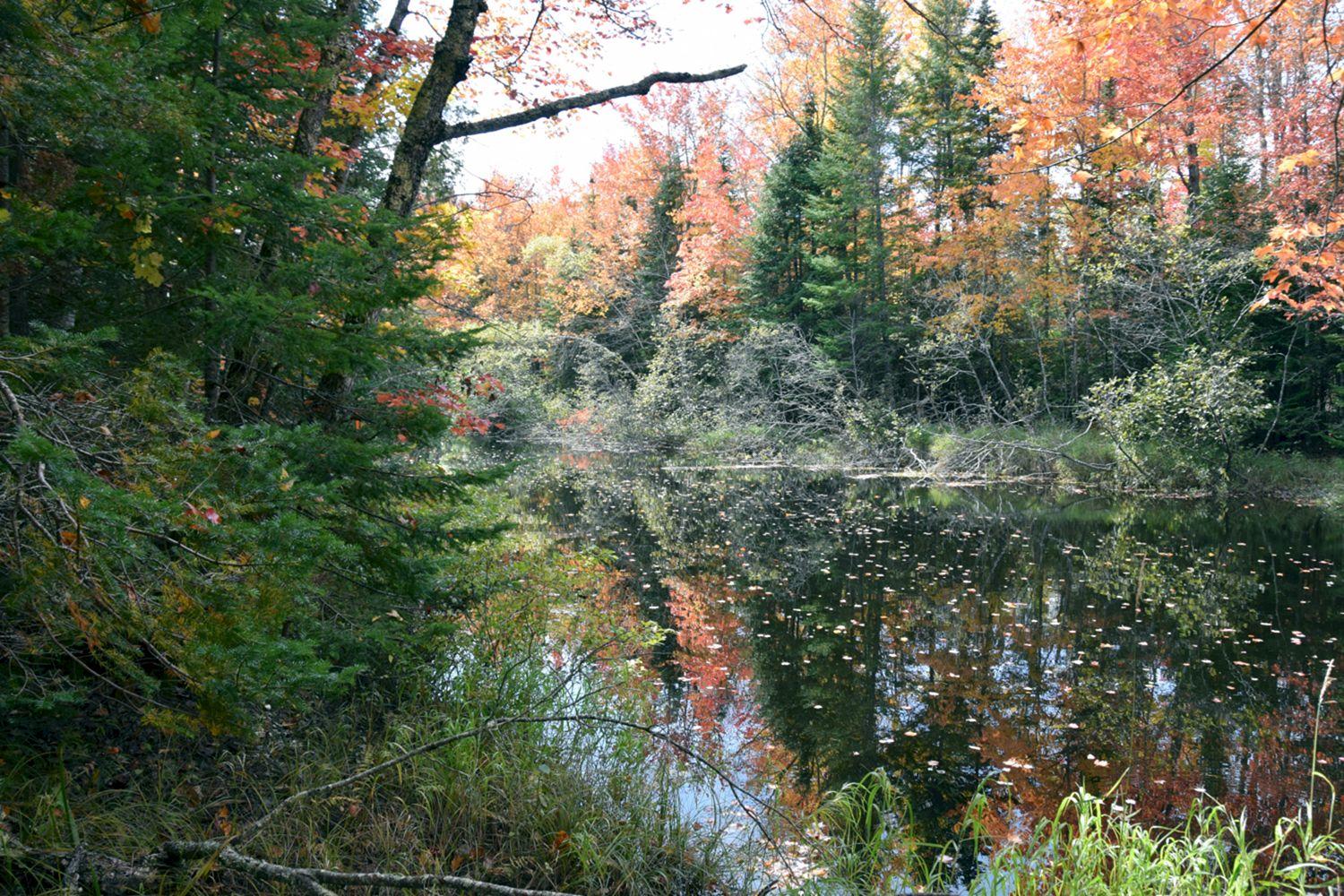 1a Halls Bridge Road Canaan, ME 04924 - Photo 22 of 44 DSC_0005 a