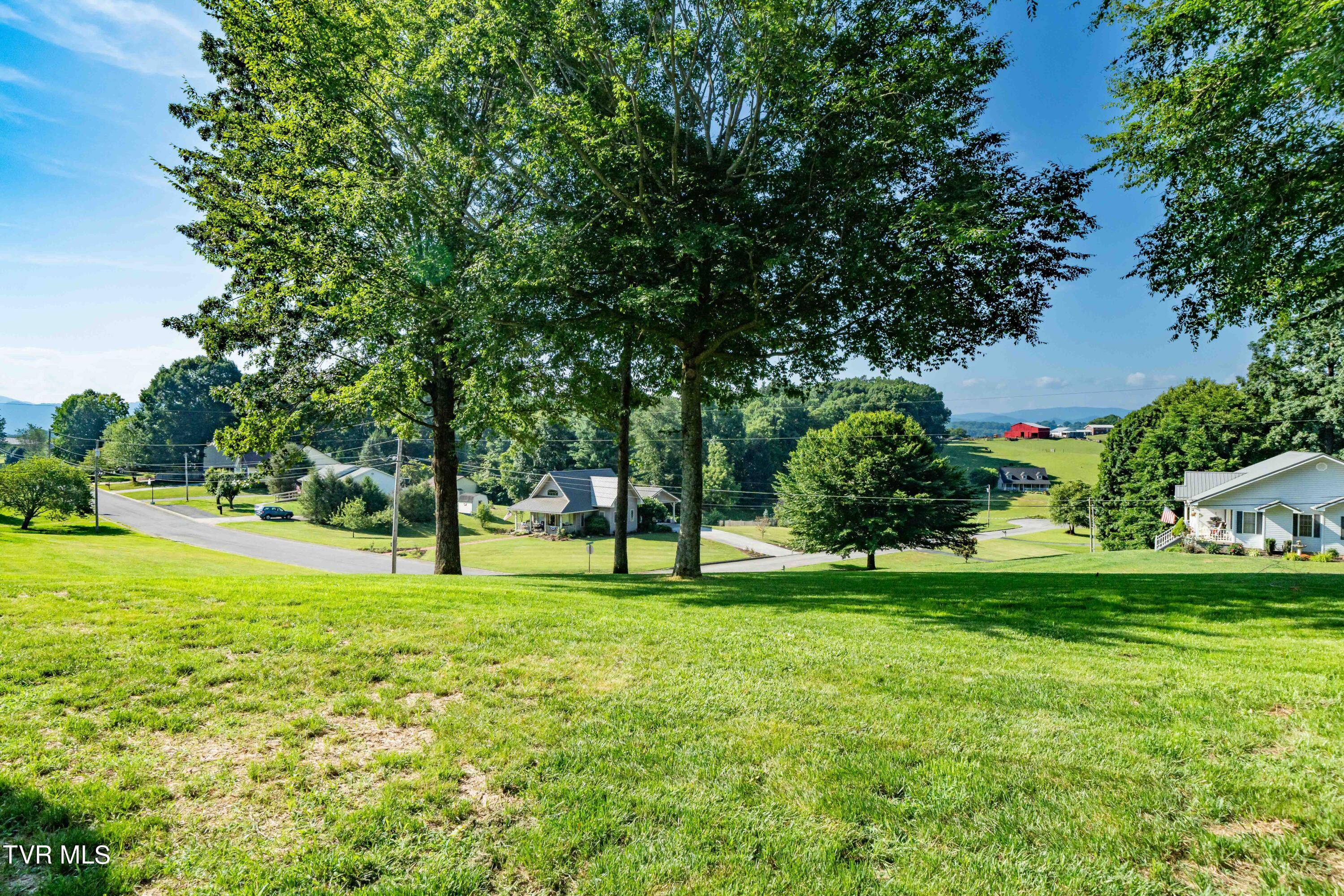 201 Reece Court North Jonesborough, TN 37659 - Photo 48 of 55 201 Reece Ct N (16 of 56)