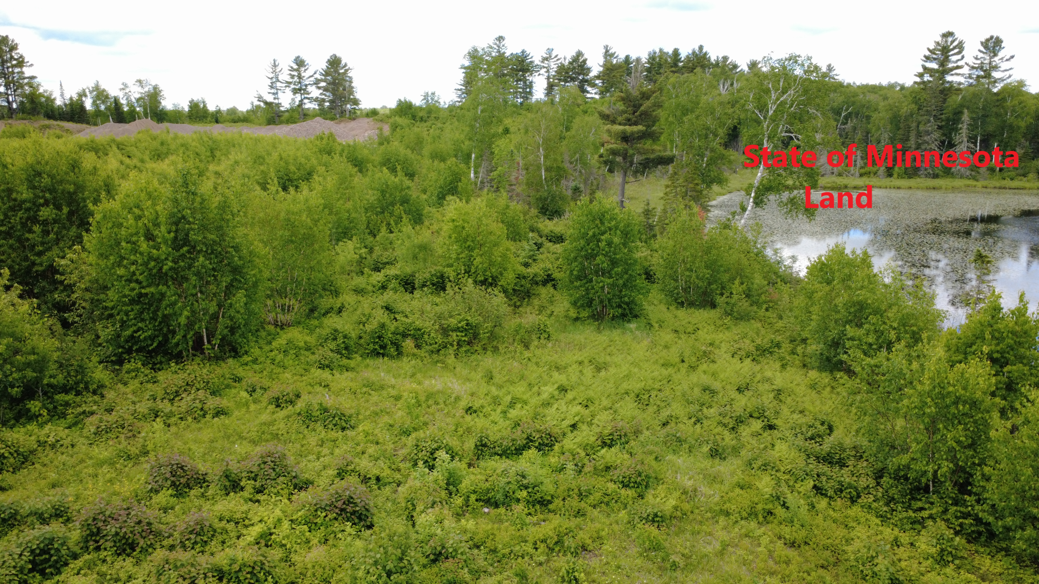 Tbd6.5 Moose Lake Road Duluth, MN 55803 - Photo 6 of 18