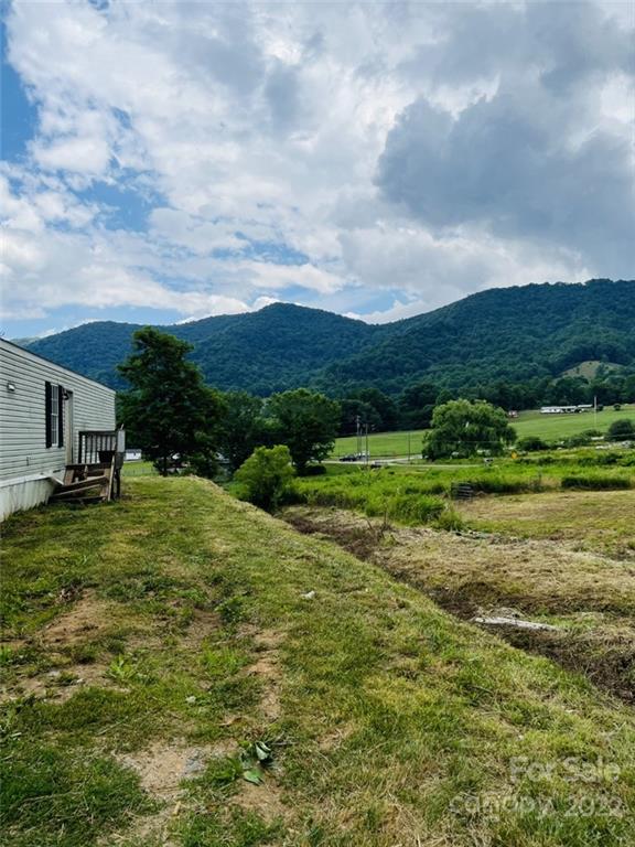 14 Fox Run Road Canton, NC 28716 - Photo 3 of 23 a view of a big yard with potted plants and large tree