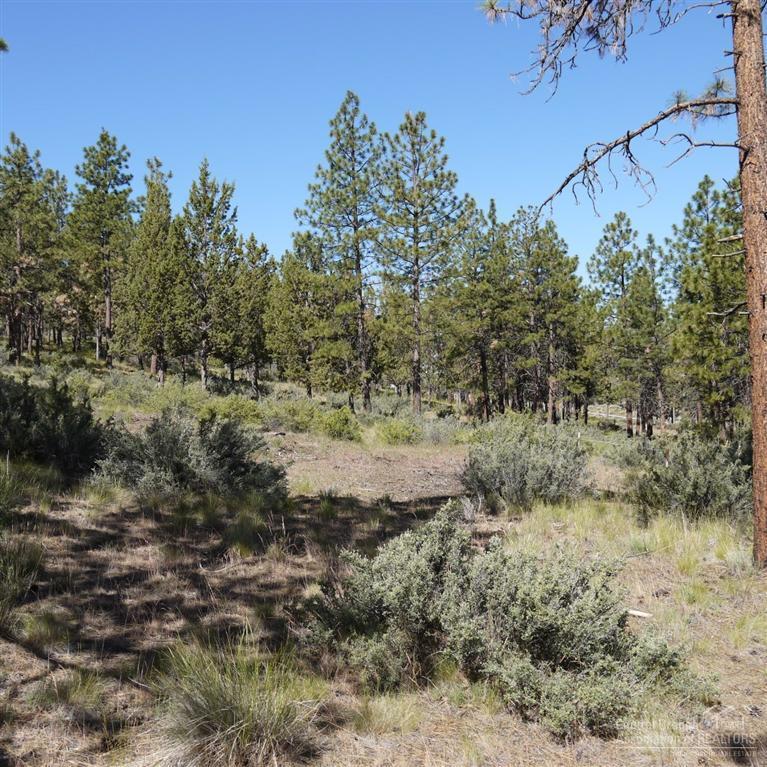 1709 Northwest Wild Rye Circle Bend, OR 97703 - Photo 4 of 8 Additional Photo