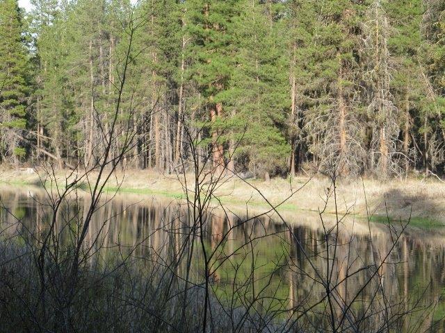 42679 Outpost Road Chiloquin, OR 97624 - Photo 24 of 29 Additional Photo
