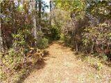 114 Reed Hall Road Summerville, SC 29483 - Photo 1 of 2 driveway