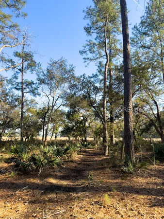 $580,000 | 45 Huspah Court South, Seabrook, SC 29940