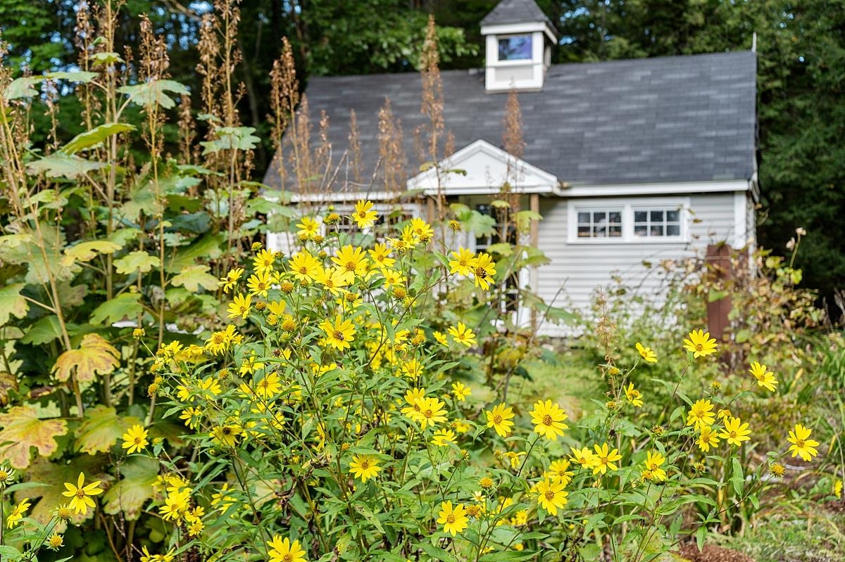306 Cemetery Road Lyndeborough, NH 03082 - Photo 31 of 38