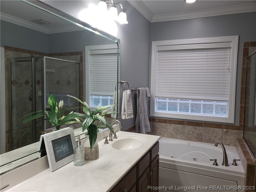 115 Blue Pine Drive Spring Lake, NC 28390 - Photo 24 of 48 a bathroom with a tub sink and mirror