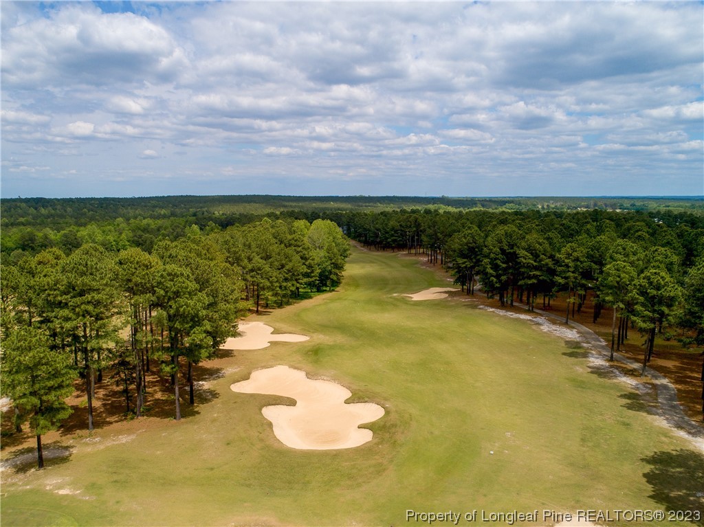 115 Blue Pine Drive Spring Lake, NC 28390 - Photo 45 of 48