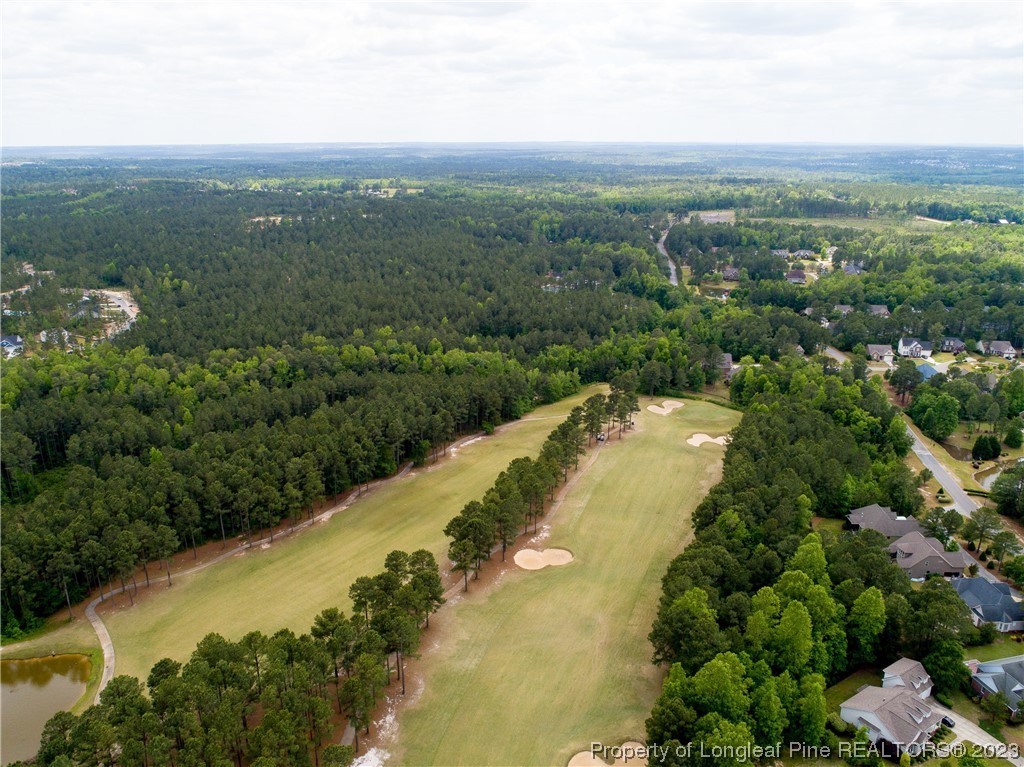 115 Blue Pine Drive Spring Lake, NC 28390 - Photo 48 of 48 a view of a city