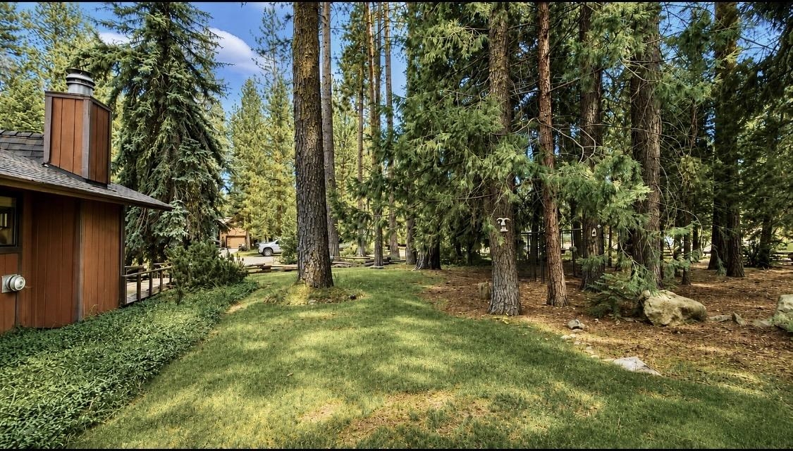 204 Poplar Valley Road Blairsden, CA 96103 - Photo 47 of 49