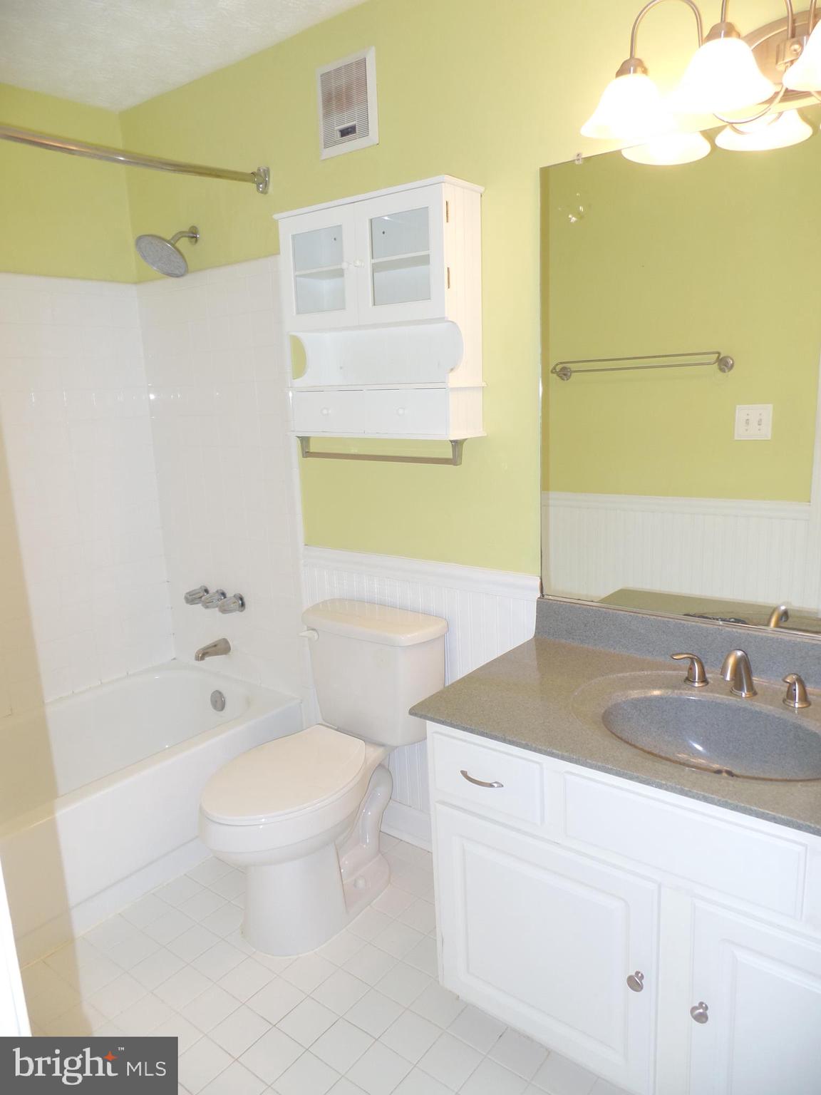 2224 Hunter's Run Drive Reston, VA 20191 - Photo 14 of 22 Primary Bath