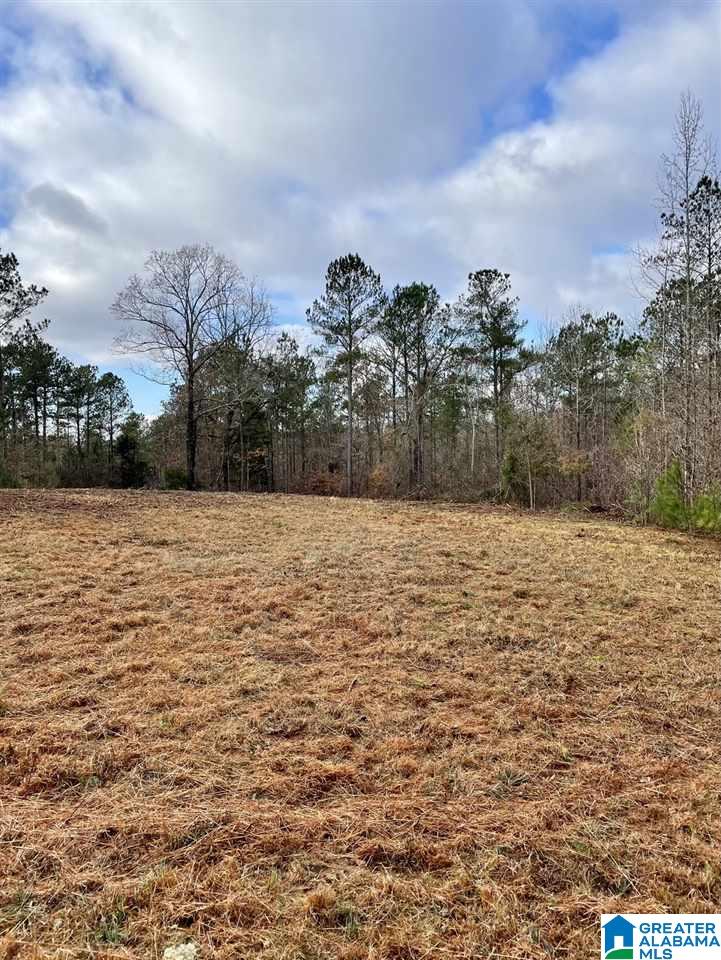 0 Old Wadley Road, Unit 80 Wadley, AL 36276 - Photo 6 of 10