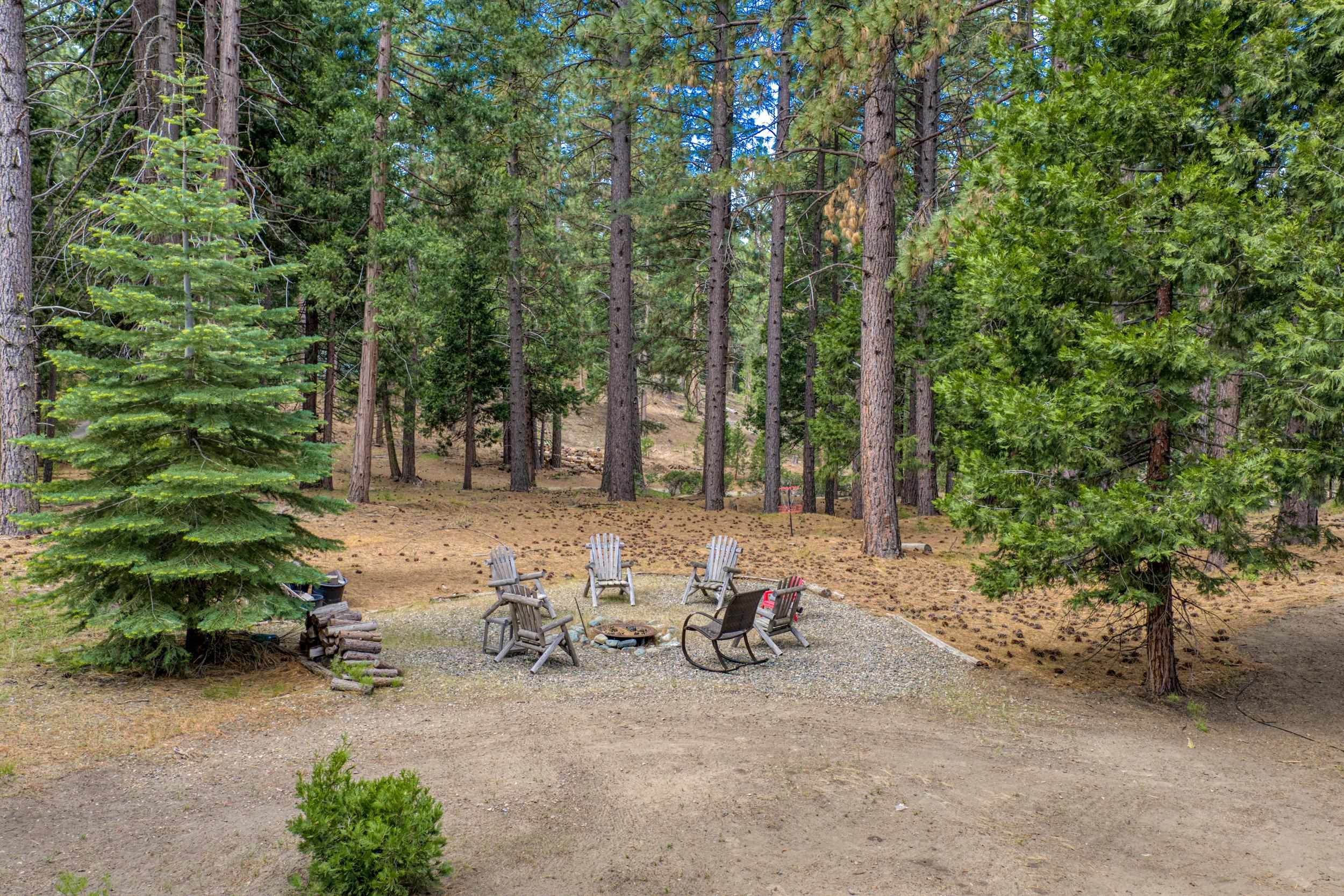 860 Red Fox Road Clio, CA 96106 - Photo 9 of 50