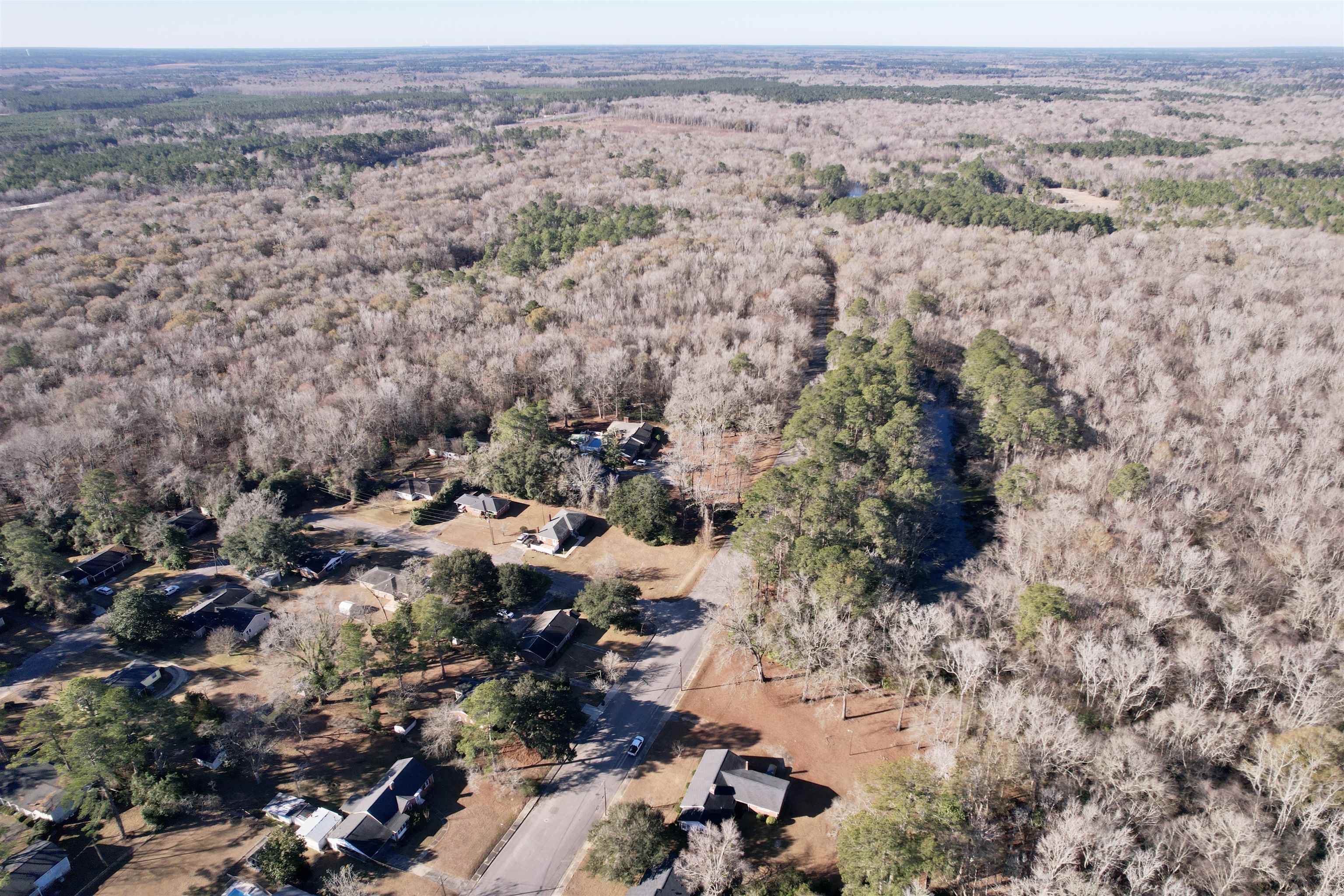 517 County Rd S-45-104 Kingstree, SC 29556 - Photo 27 of 32