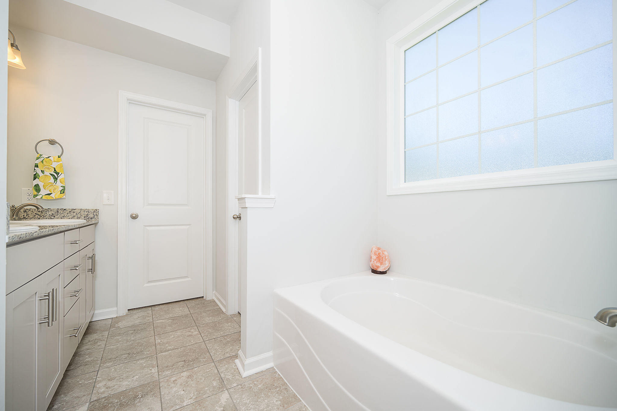143 Hill Branch Road Ridgeville, SC 29472 - Photo 19 of 37 Garden Tub