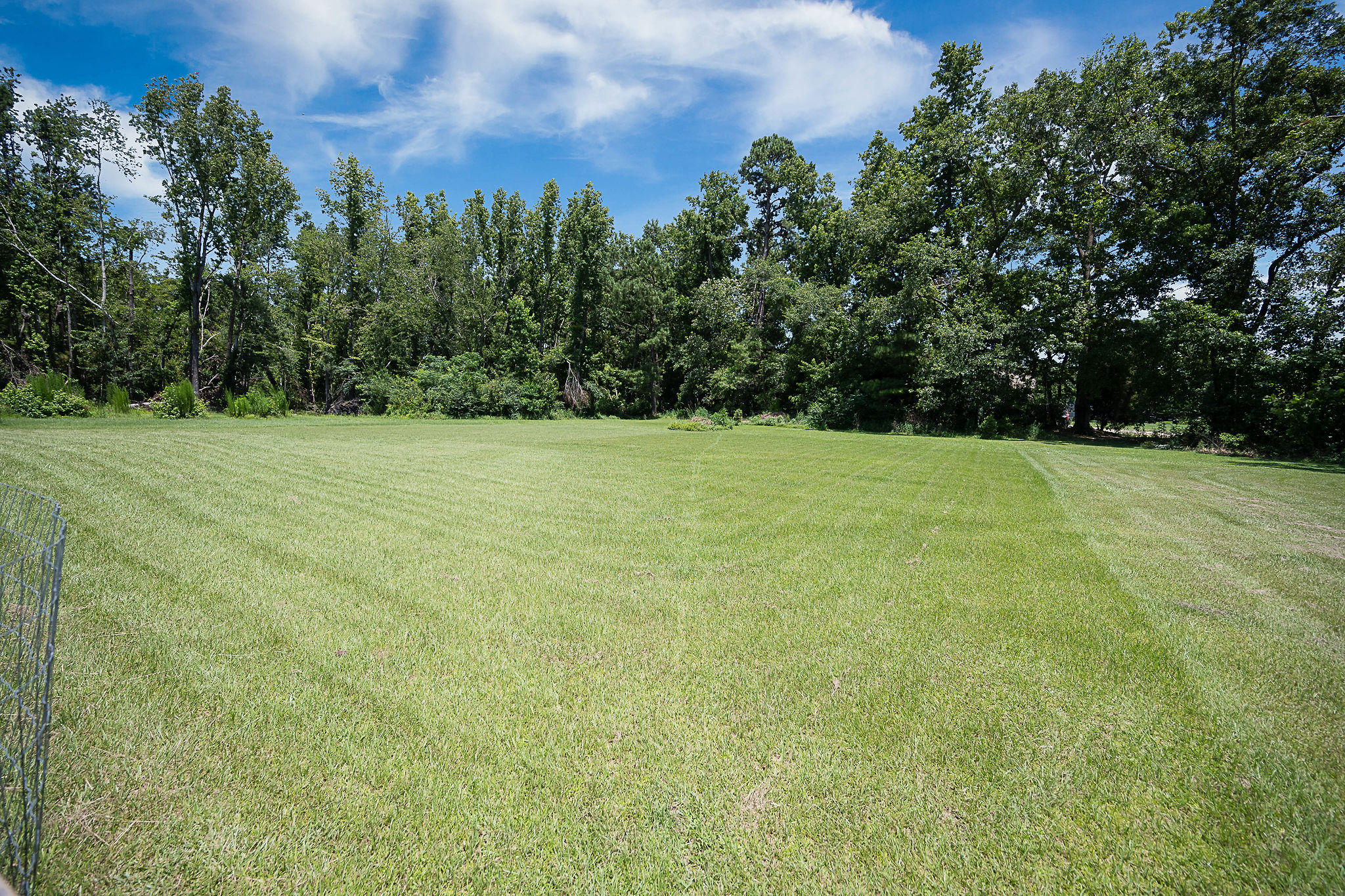 143 Hill Branch Road Ridgeville, SC 29472 - Photo 32 of 37 Backyard