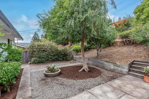 a view of a backyard with potted plants
