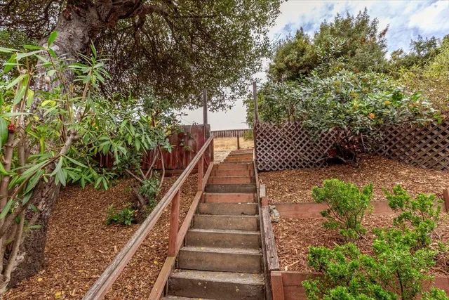 a view of a yard with plants and wooden fence
