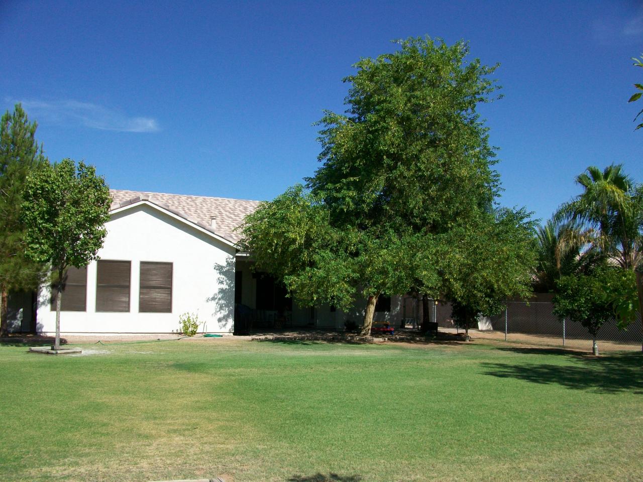 970 South Rutherford Court Gilbert, AZ 85296 - Photo 12 of 18 yard