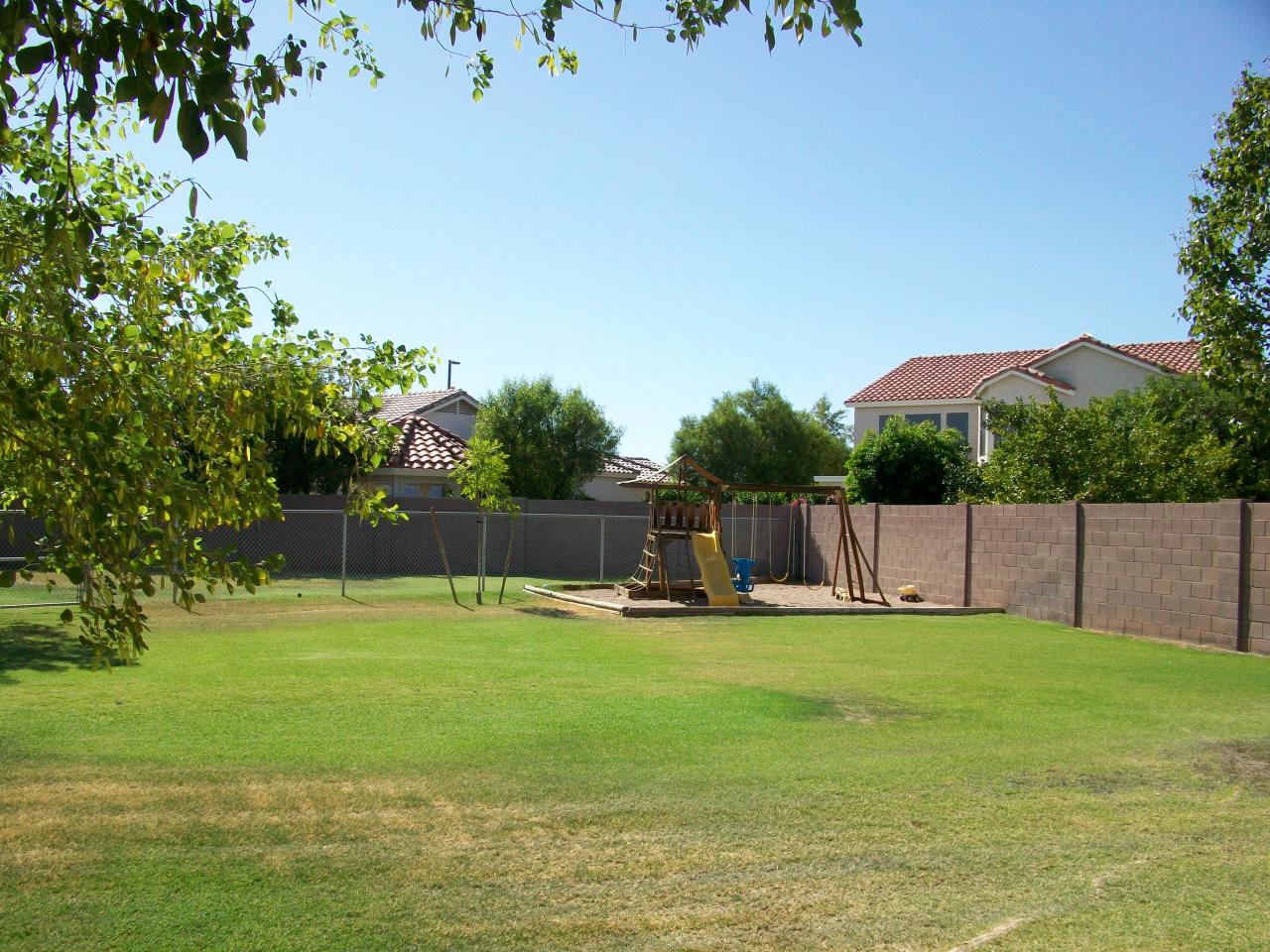 970 South Rutherford Court Gilbert, AZ 85296 - Photo 15 of 18 yard