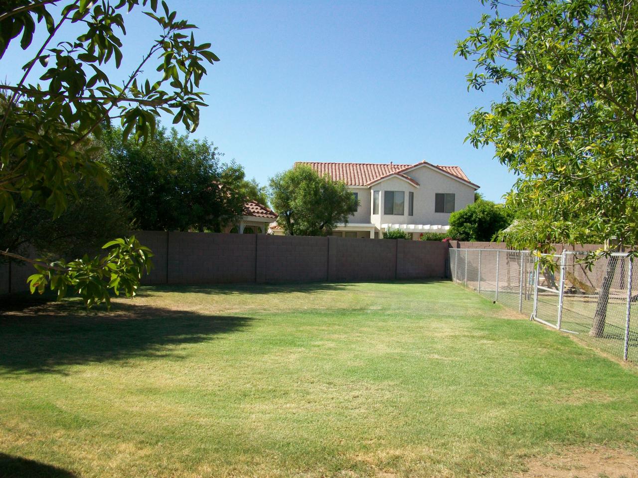 970 South Rutherford Court Gilbert, AZ 85296 - Photo 16 of 18 yard