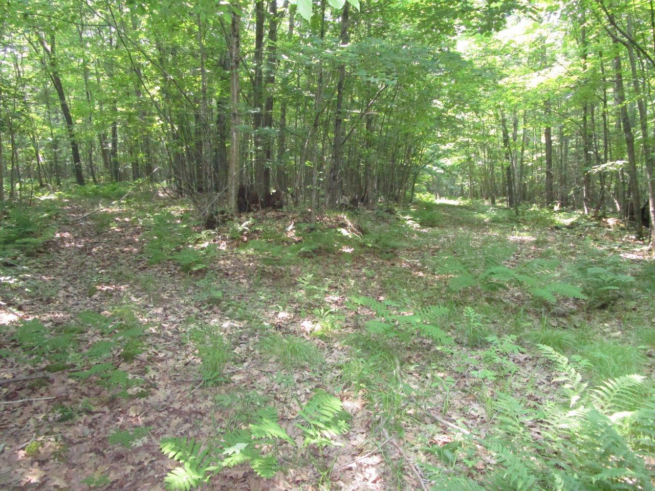 W11093 Oak Ridge Lane Kennan, WI 54537 - Photo 23 of 30 Gallery Image 23