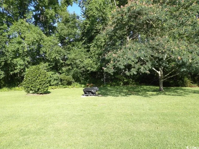 $2,300 | 124 Mesa Raven Drive, Longs, SC 29568