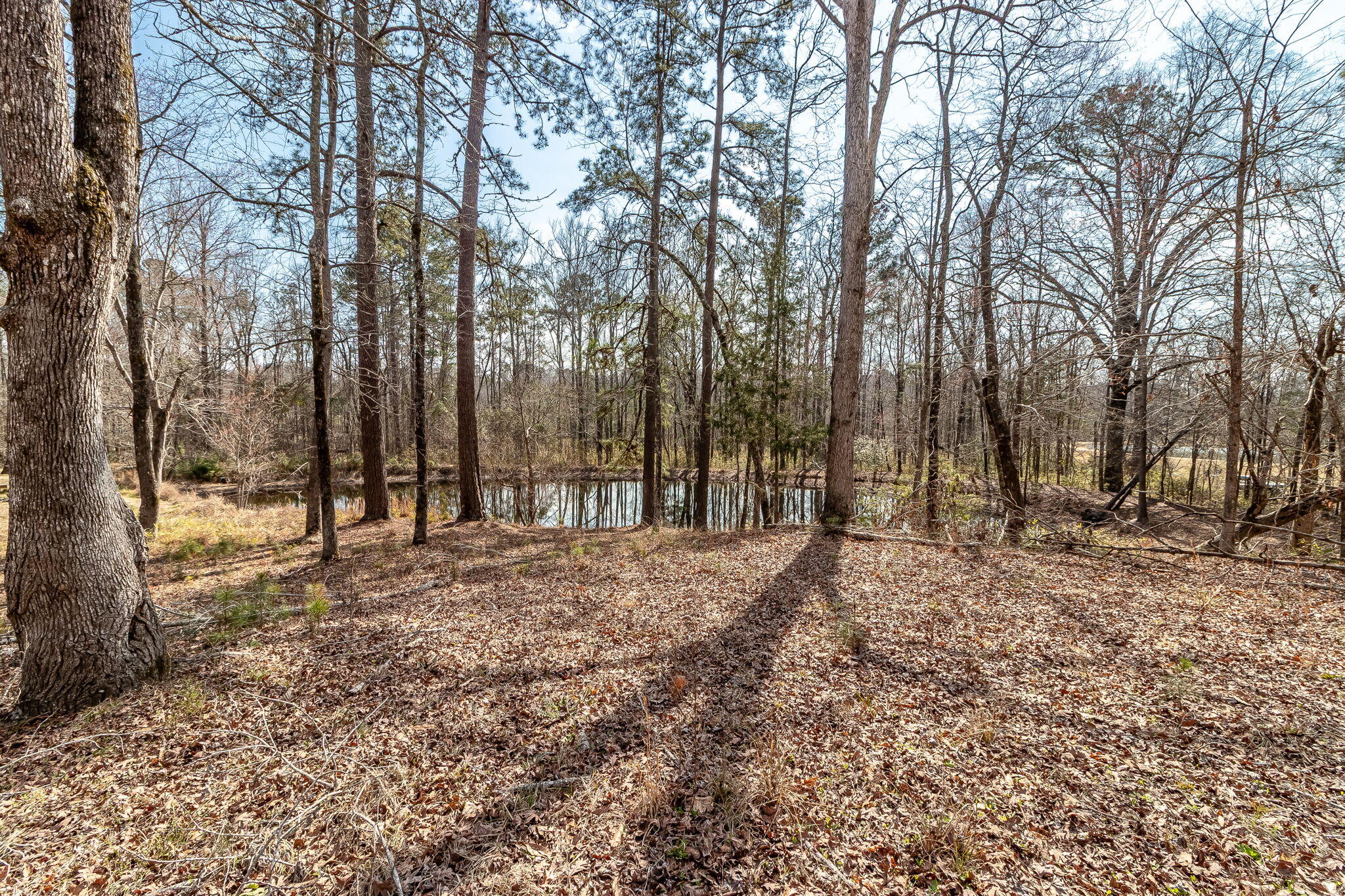 1330 Freeman Harriss Road Harlem, GA 30814 - Photo 48 of 51 48-web-or-mls-1330 FREEMAN HARRISS RD ©-