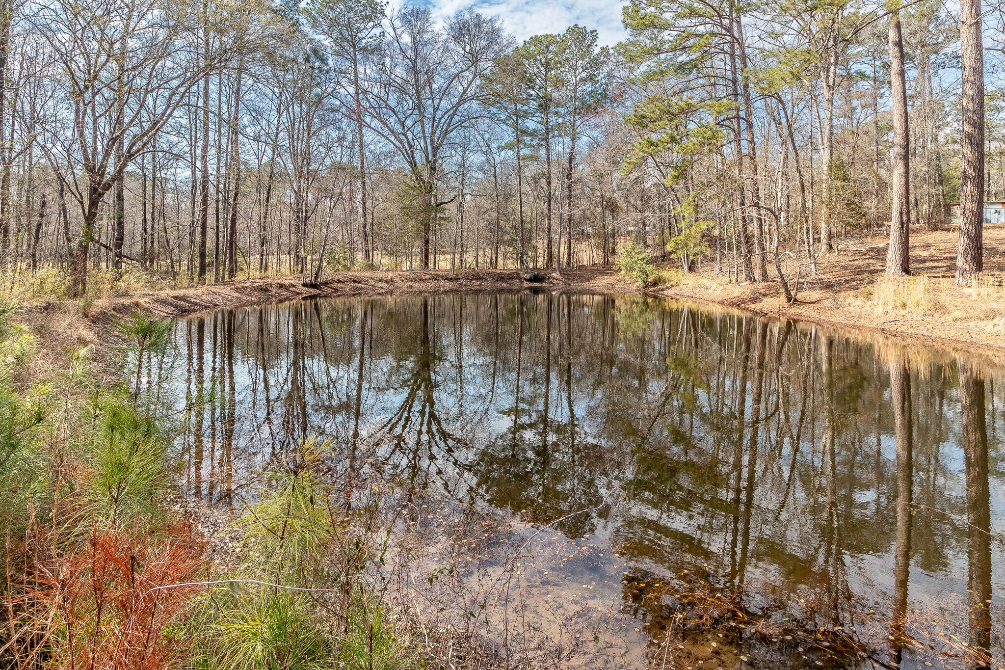 1330 Freeman Harriss Road Harlem, GA 30814 - Photo 7 of 51 7-web-or-mls-1330 FREEMAN HARRISS RD ©-7