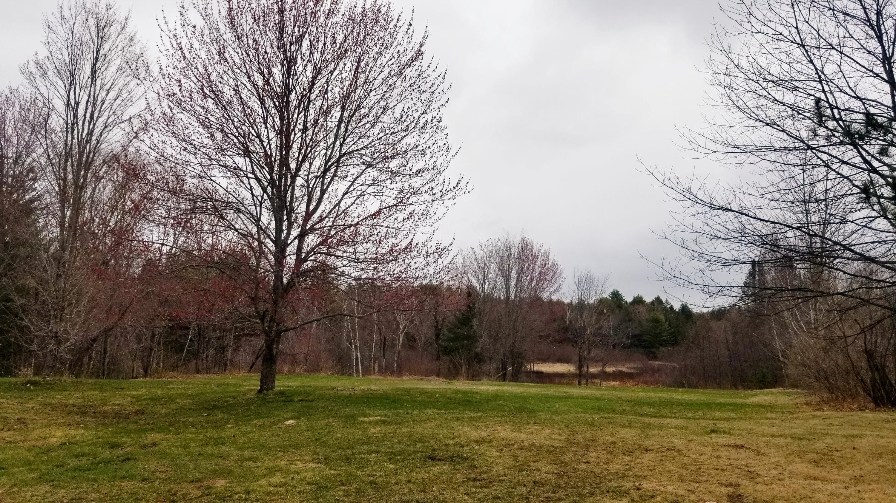 32 Springfield Road Winn, ME 04495 - Photo 8 of 50 7. Yard