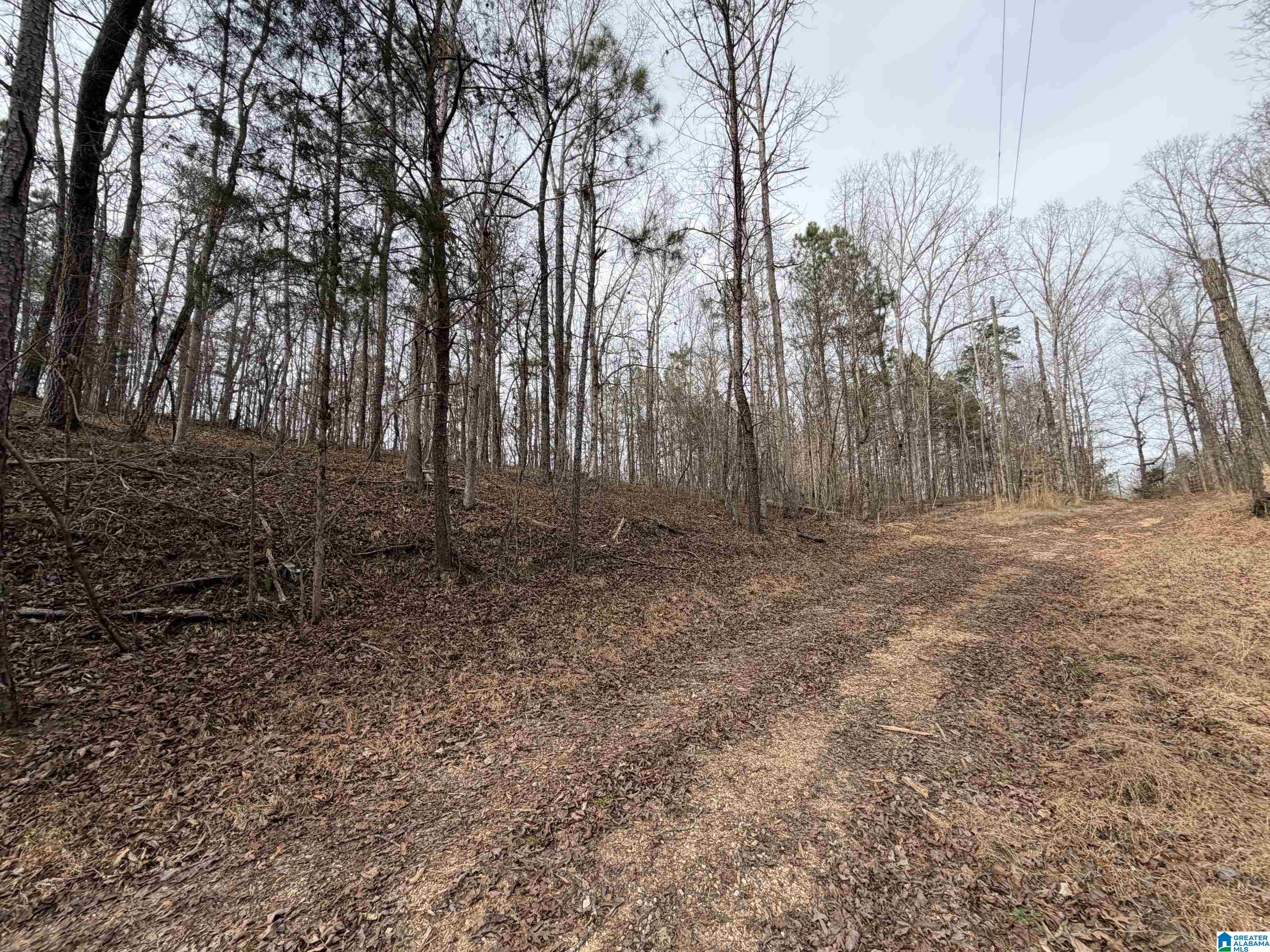 0 James Lake Road, Unit 1 Trussville, AL 35173 - Photo 6 of 18