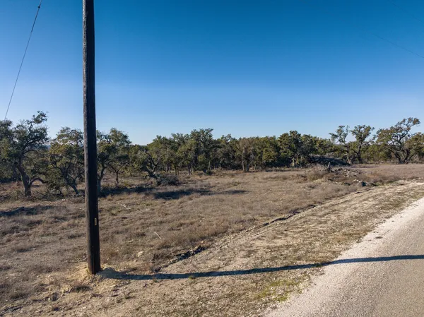 a view of a dry yard with trees